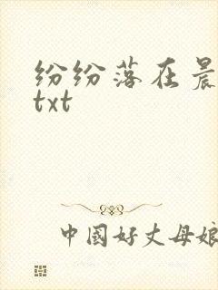 纷纷落在晨色里txt