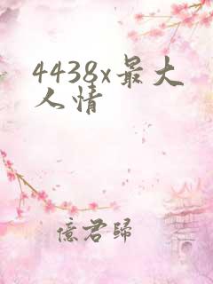 4438x最大人情