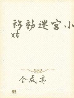 移动迷宫小说txt