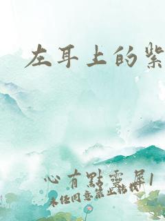 左耳上的紫水晶