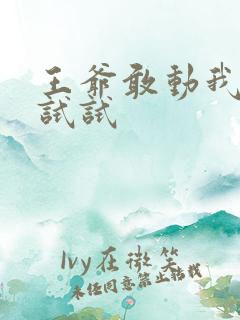 王爷敢动我妈咪试试