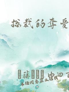 总裁的夺爱游戏