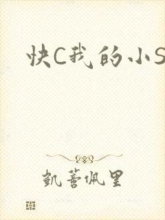 快C我的小SB