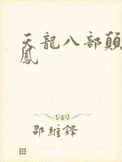 天龙八部颠龙鸾凤