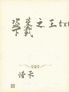 盗墓之王txt下载