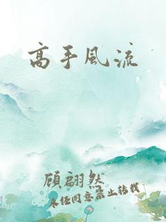 高手风流