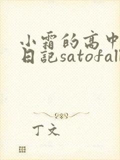 小霜的高中成长日记satofall