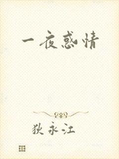 一夜惑情