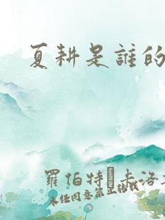 夏耕是谁的女婿