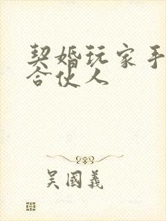 契婚玩家手册之合伙人