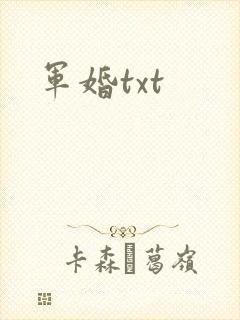 军婚txt