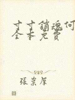 寸寸销魂何生祥全本免费