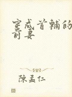 穿成首辅的炮灰前妻