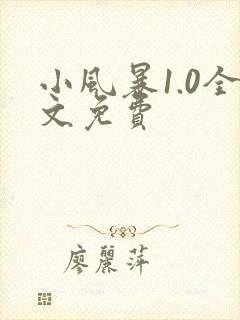 小风暴1.0全文免费