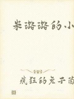 米璐璐的小说