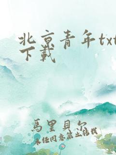 北京青年txt下载