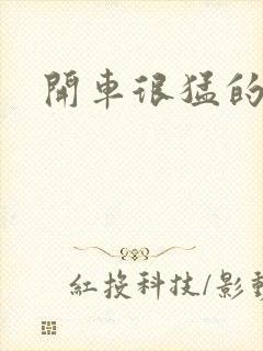 开车很猛的古文