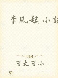 李风起 小说
