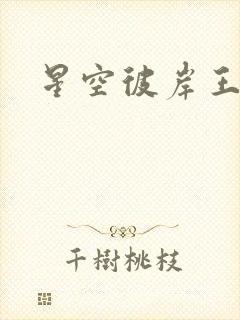 星空彼岸王轩