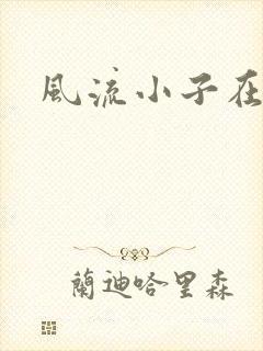 风流小子在异世