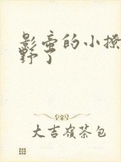 影帝的小撩精太野了