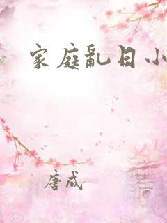 家庭乱日小说