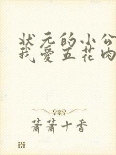 状元的小公主(我爱五花肉)