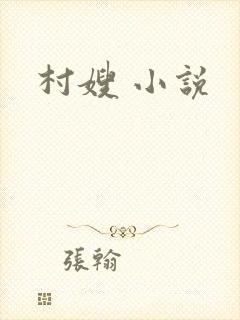 村嫂 小说
