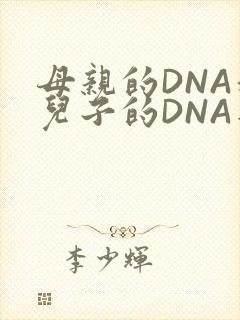 母亲的DNA和儿子的DNA是一样的吗