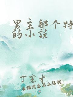 男主那个特别大的小说