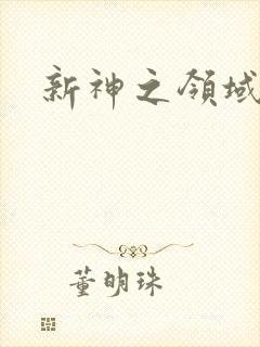 新神之领域