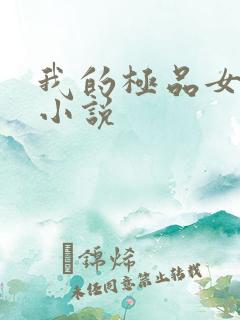 我的极品女老师小说