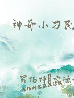 神奇小刁民