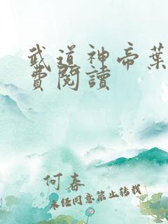 武道神帝叶辰免费阅读