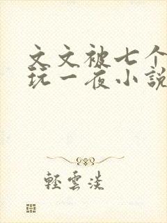 文文被七个男人玩一夜小说