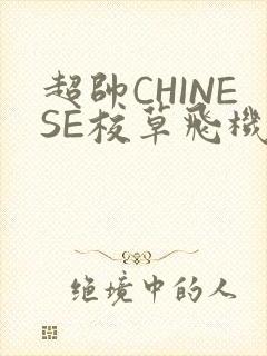 超帅CHINESE校草飞机BLUE