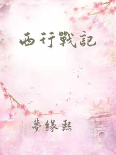 西行战记