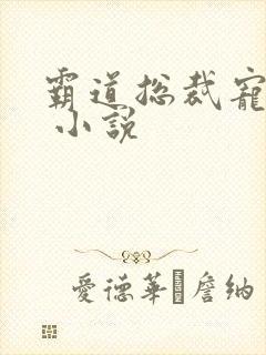 霸道总裁宠上天 小说