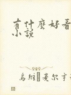 有什么好看的h小说