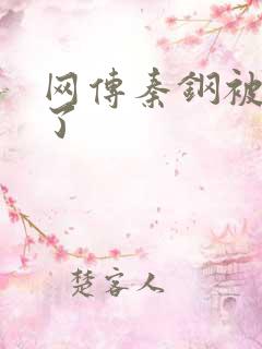 网传秦钢被打死了