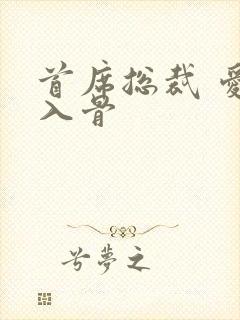 首席总裁 爱你入骨