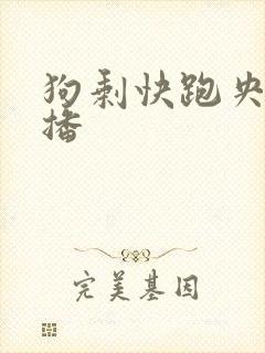 狗剩快跑央八首播