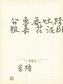 公车吞吐跨坐 粗长 花液BL