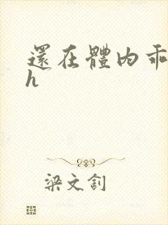 还在体内乖吃饭h