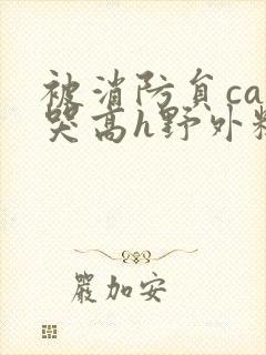 被消防员cao哭高h野外糙汉h