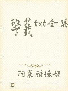班花txt全集下载