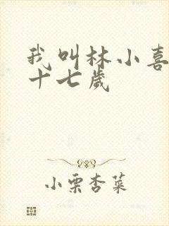 我叫林小喜今年十七岁