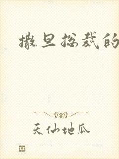 撒旦总裁的妹妹