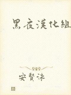 黑夜汉化组