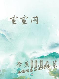 宣宣网